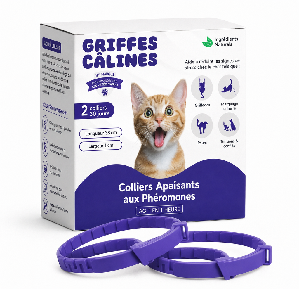 GriffesCalines Collier Calmant Pour Chat