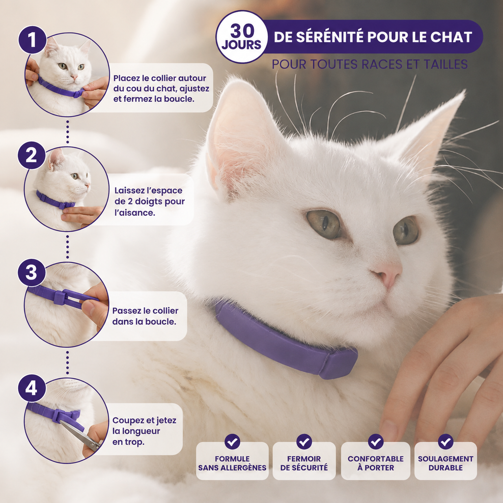 GriffesCalines Collier Calmant Pour Chat